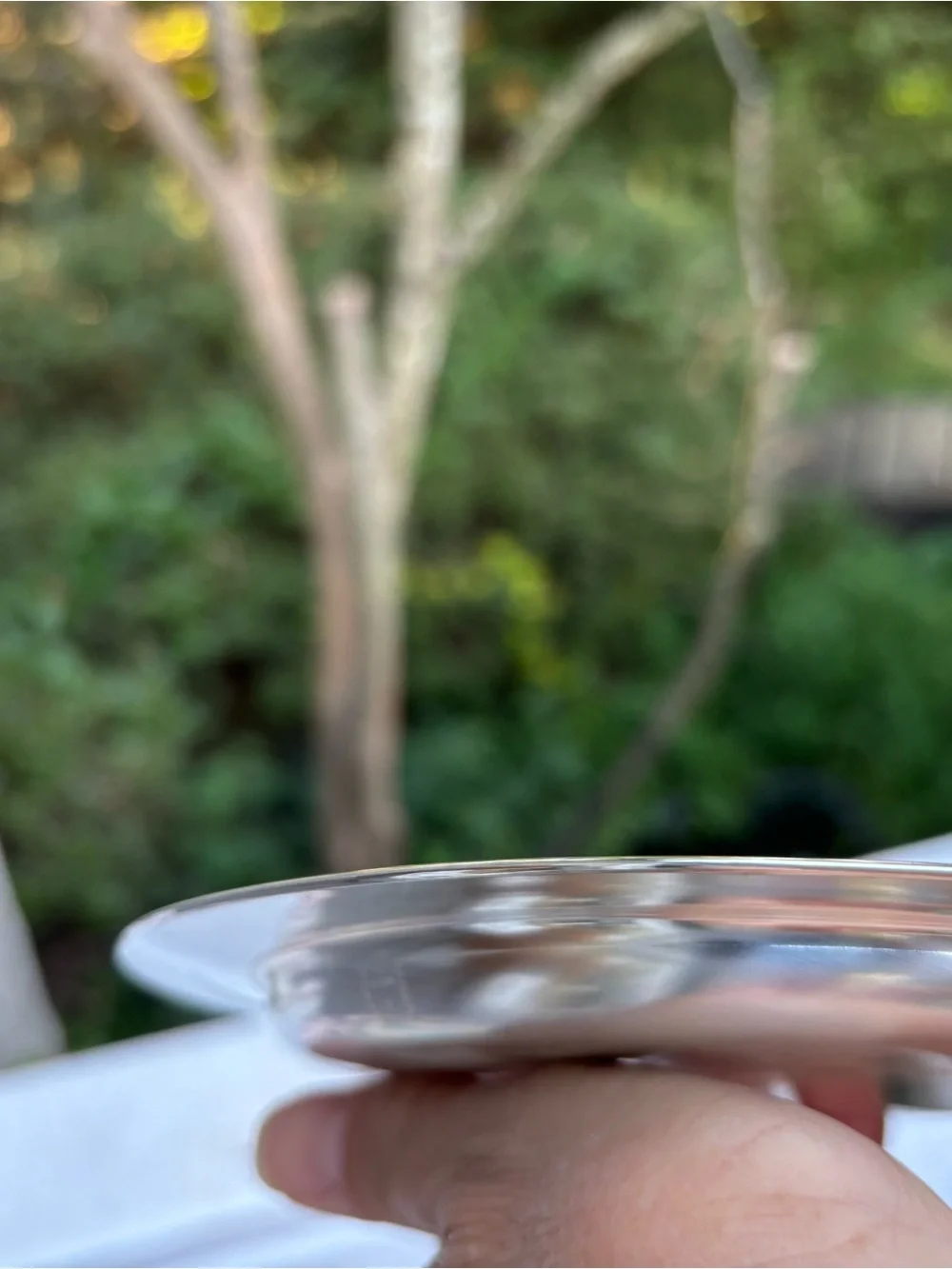 Maestri by Gorham Silver-Plated Bread Plate